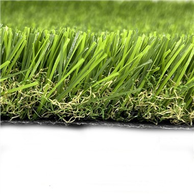 Outdoor Grass