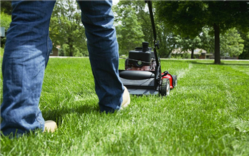 Benefits Of Artificial Grass: Enjoy A Perfect Lawn All Year Round