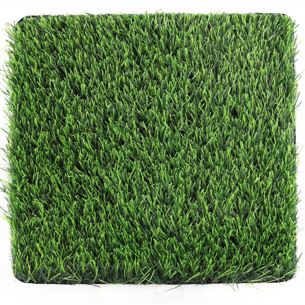 25mm Artificial Grass Sample - LFL - LFL Grass | Artificial Grass Manufacturer & Supplier 25mm artificial grass sample square on white background