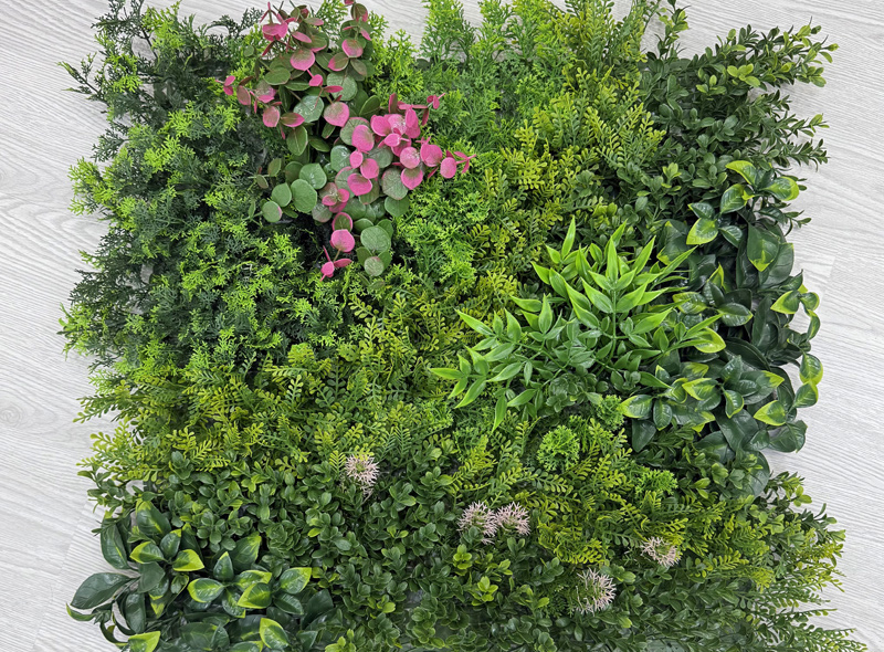 Close-up of a dense mix of green foliage plants with pink-leaf accents on a light wooden surface.
