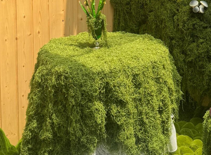 Moss-covered table outdoors with a glass vase and green plant on top, beside a wooden fence.