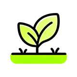 Ab-4-4 - LFL Grass | Artificial Grass Manufacturer & Supplier Two-leaf seedling growing from soil in a small pot on a bright green base.