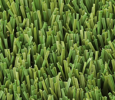 Close-up of dense green grass blades forming a lush carpet