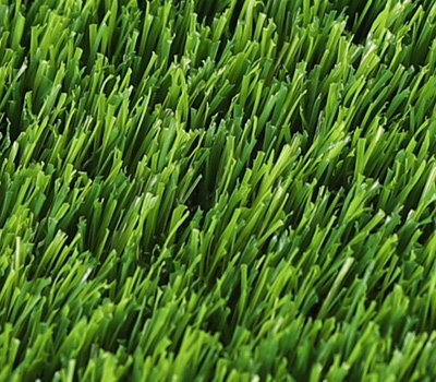 Close-up of vibrant green grass blades densely covering the ground and forming a lush turf.