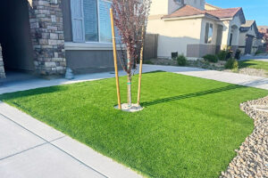 Front yard with a young tree supported by stakes planted in artificial turf, next to a sidewalk and modern house façade in the background.