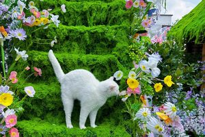 Moss - LFL Grass | Artificial Grass Manufacturer & Supplier - LFL Grass | Artificial Grass Manufacturer & Supplier White cat exploring a moss-covered green staircase surrounded by colorful flowers in a garden setting