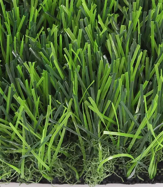 Close-up of dense green grass blades with roots visible along the soil edge.