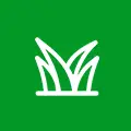 White abstract plant emblem (stylized leaves) on a solid green background.
