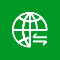Global services icon: white globe with grid lines and a trailing swoosh on a green background.