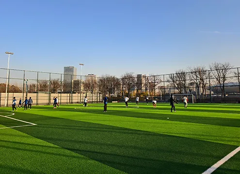 ملاعب المجتمع